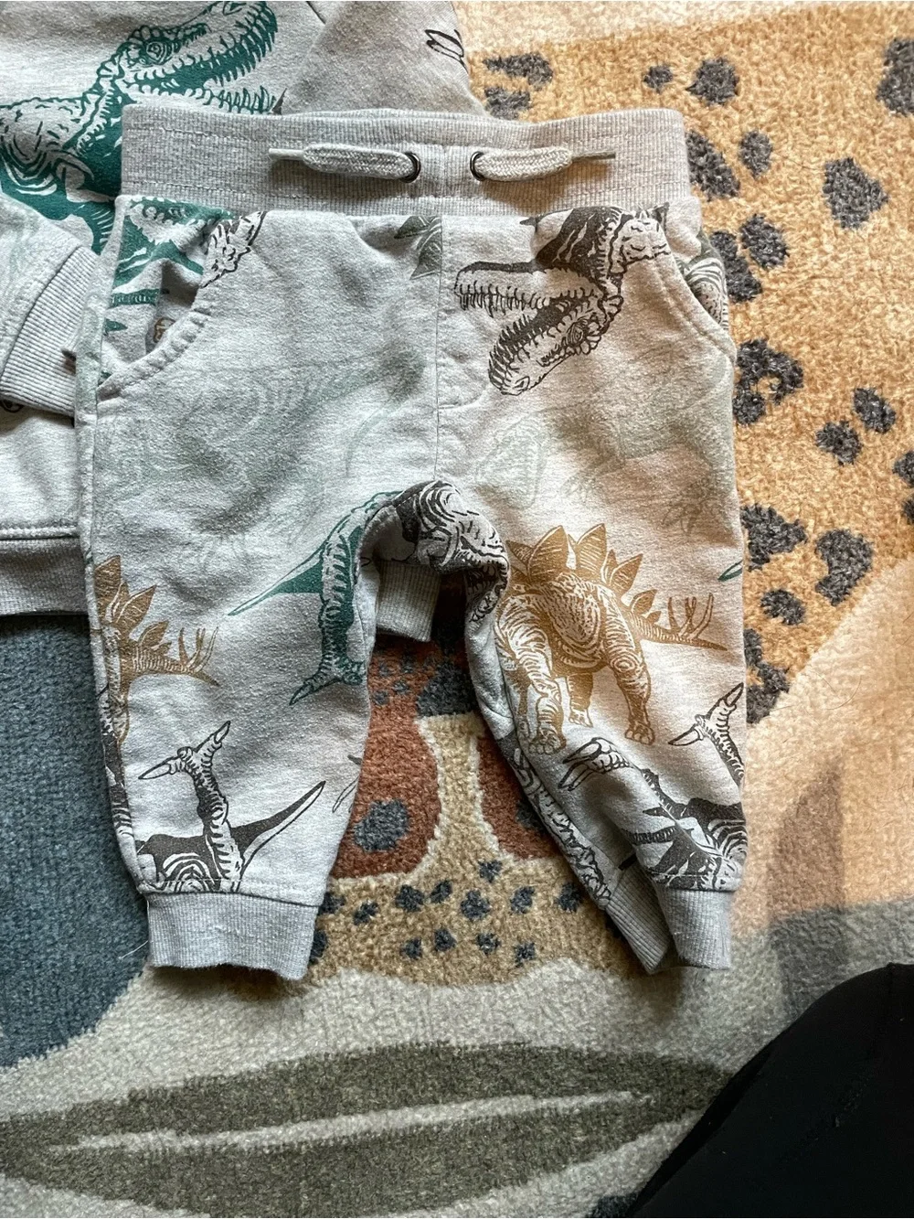 Dinosaur Print Hoodie & Joggers Set